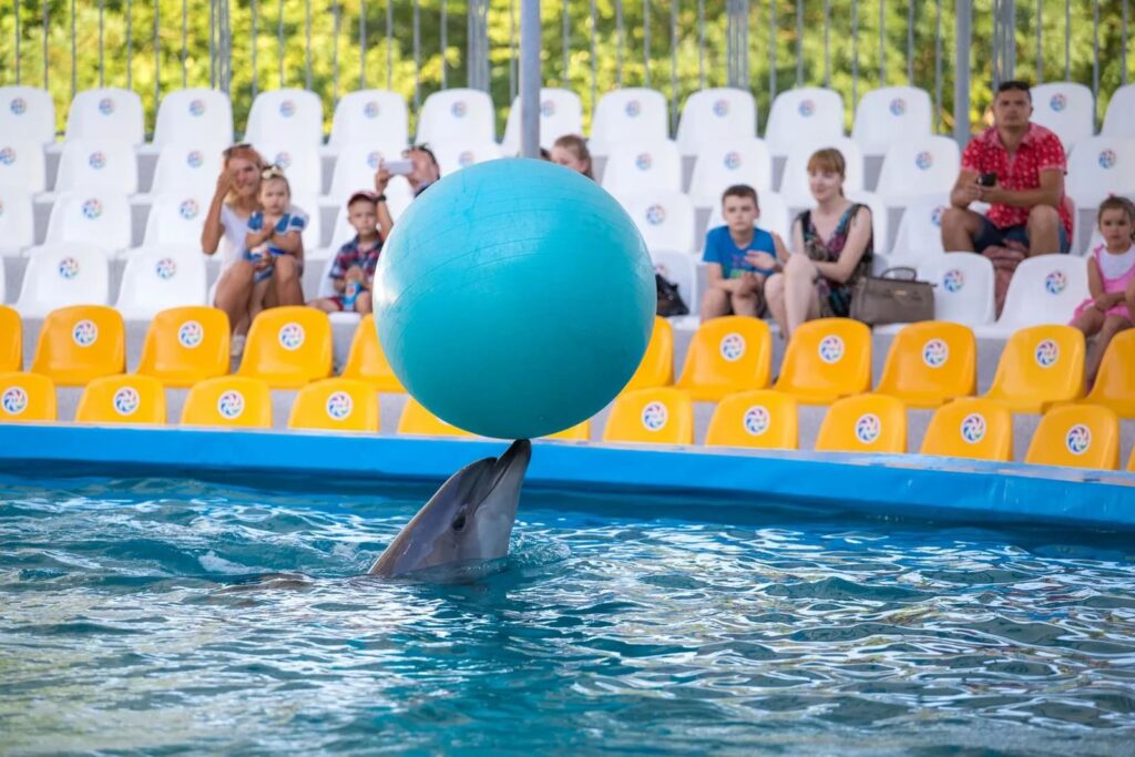 Дельфинарий «Акварель» в Скадовске